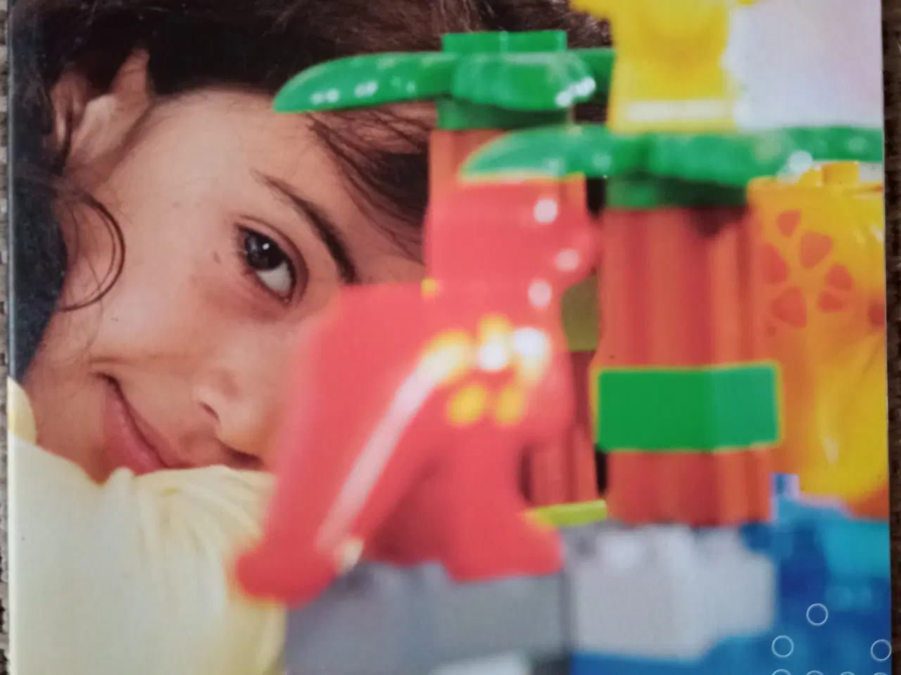 Billede 1 - Lego Bæredygtighedsrapport 2006.