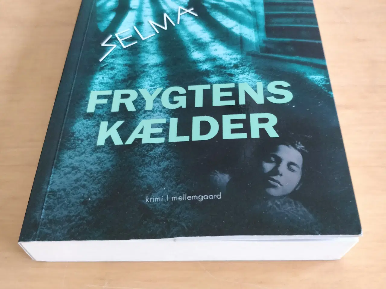 Billede 2 - Frygtens kælder, Randi Kjeldsen