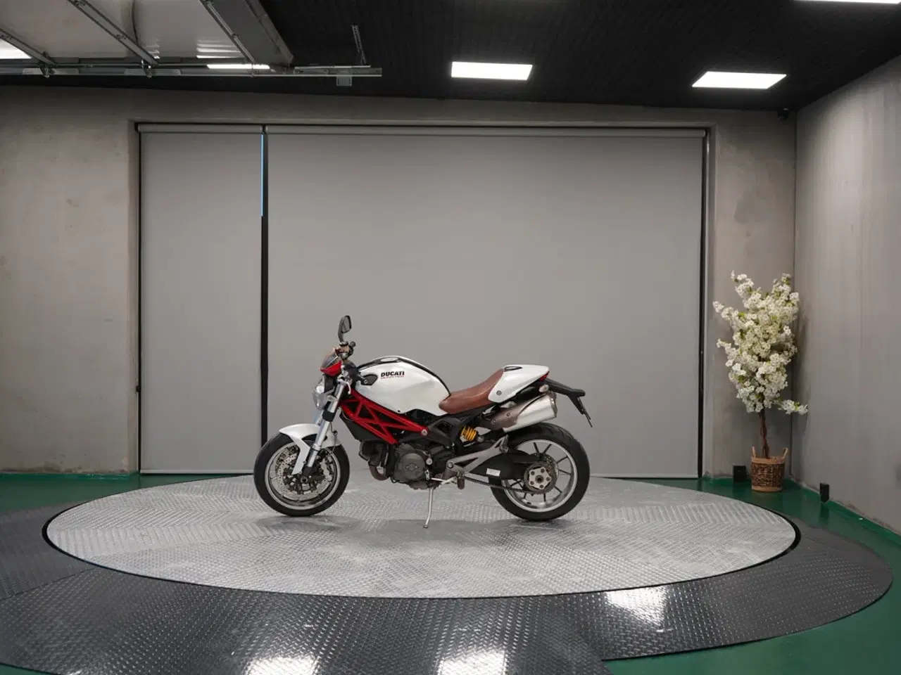 Billede 2 - DUCATI MONSTER 1100/1100S