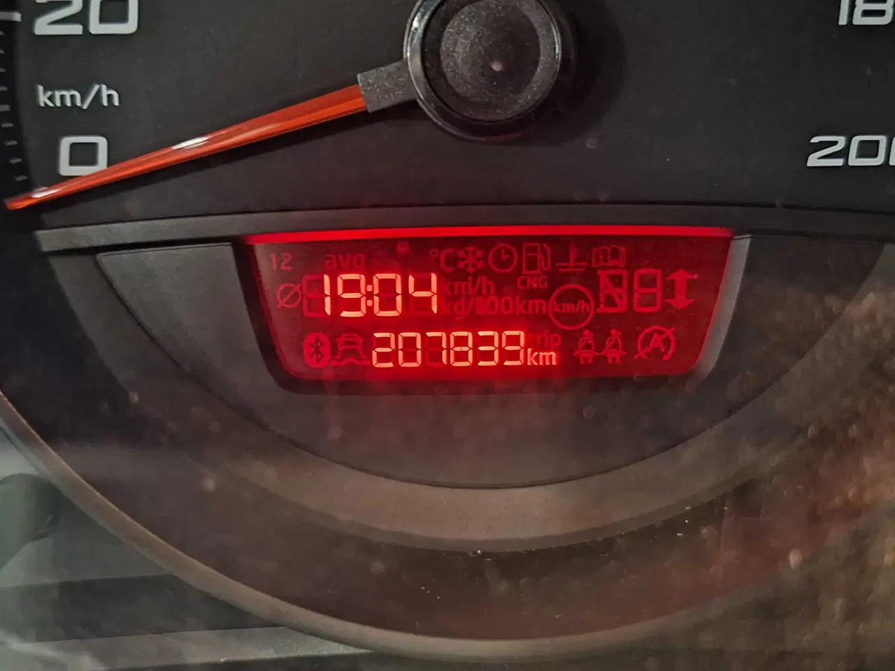 Billede 11 - Økonomisk Seat mii 