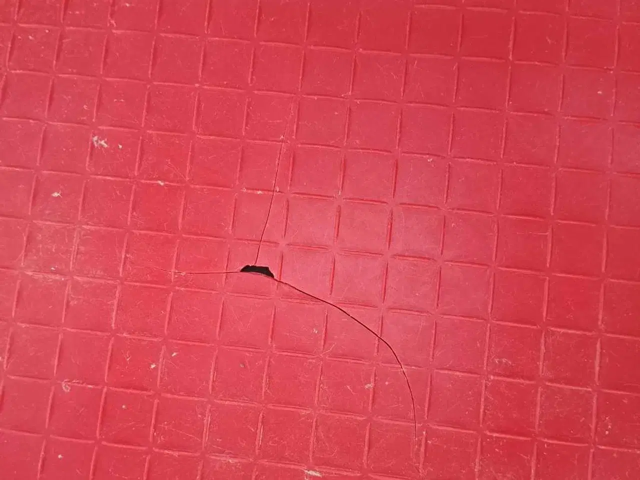 Billede 4 - Transportkasse