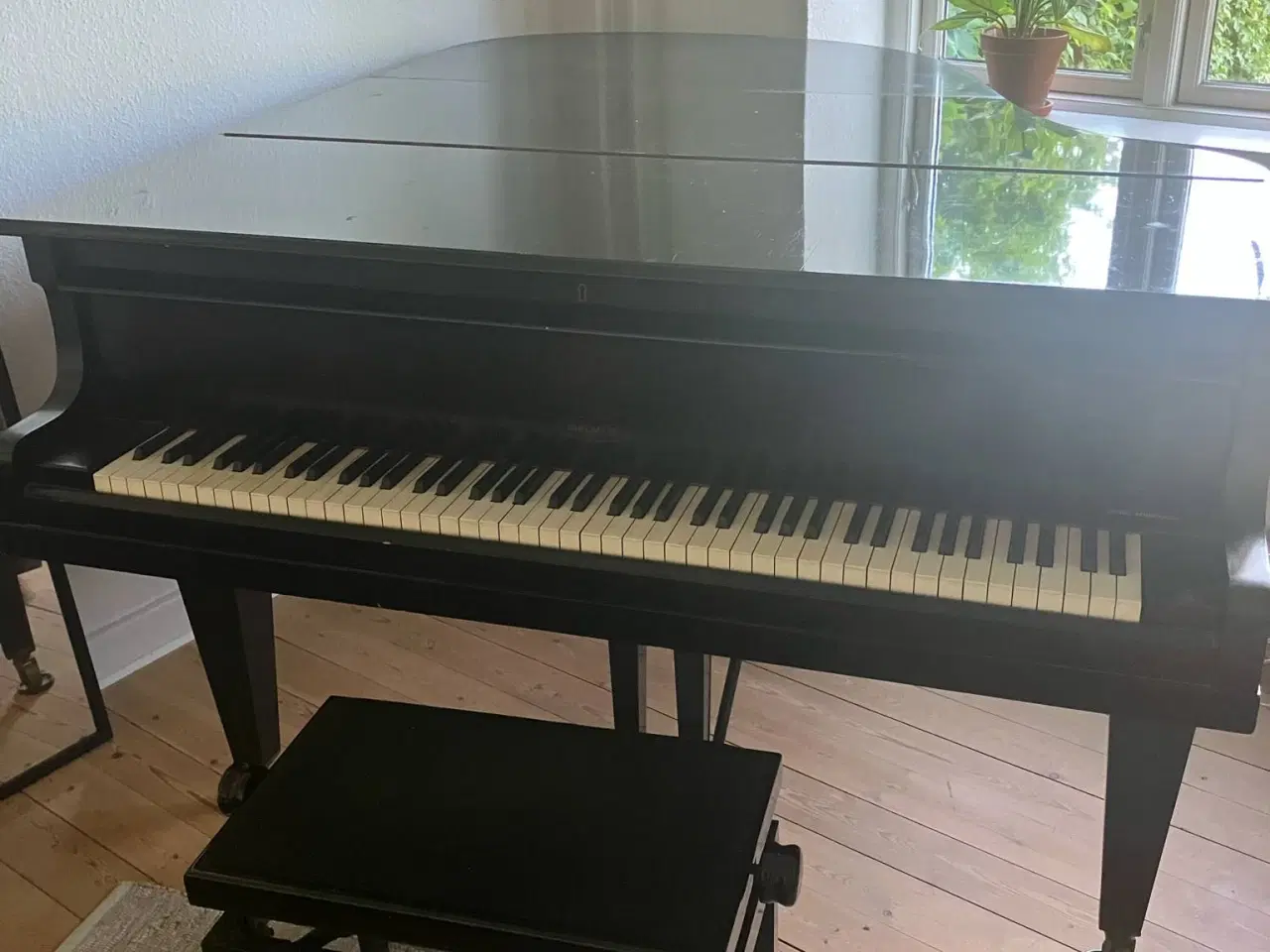 Billede 2 - Sort Malmsjö flygel