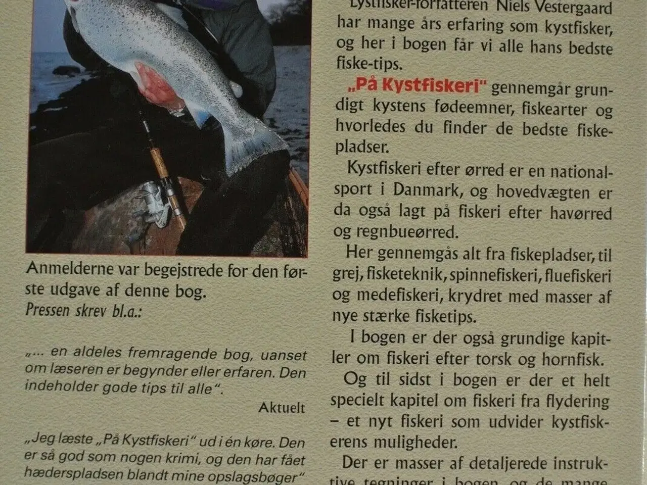Billede 3 - på kystfiskeri efter havørred, regnbueørred torsk 