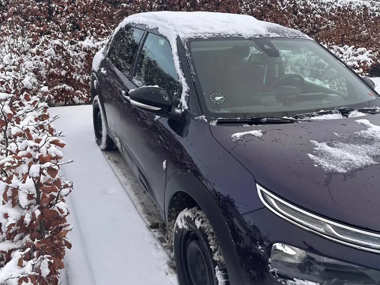 Billede 3 - Citroën C4 Cactus 1,6 BlueHDi 100 BlackLine