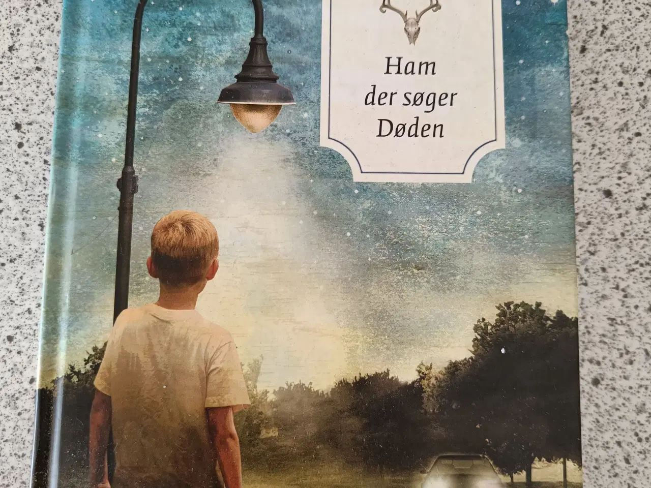 Billede 6 - Ungdomsbøger