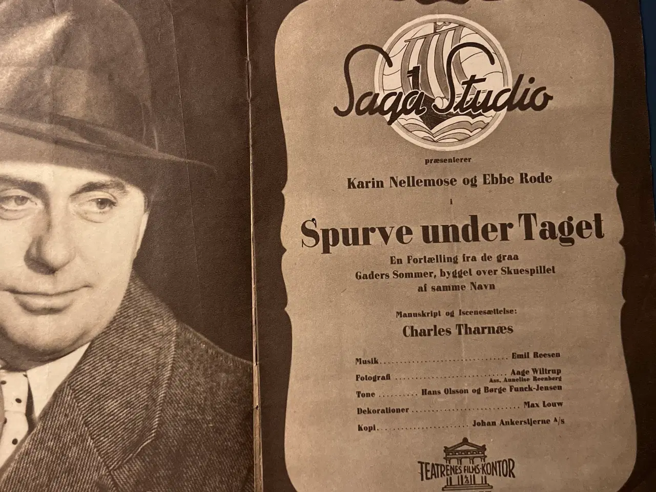 Billede 2 - Spurve under taget