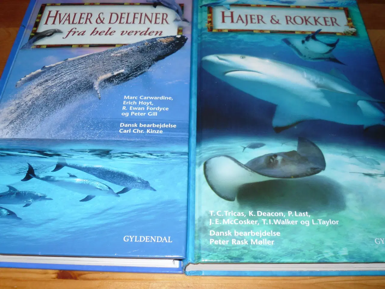 Billede 1 - Udgået. HVALER & Delfiner.