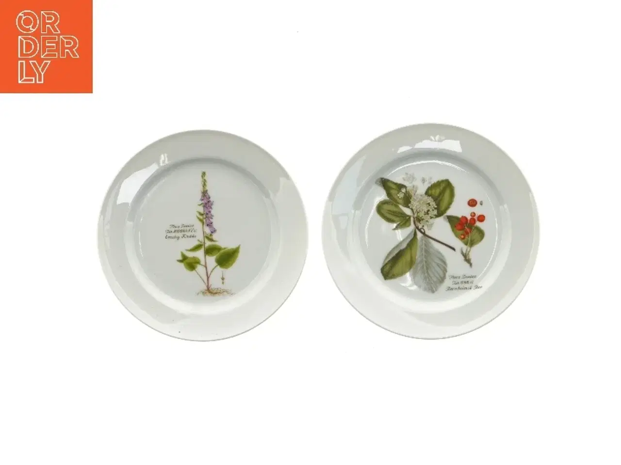 Billede 1 - Flora Danica tallerkener fra Faxe depotet (str. Ø 20 cm)