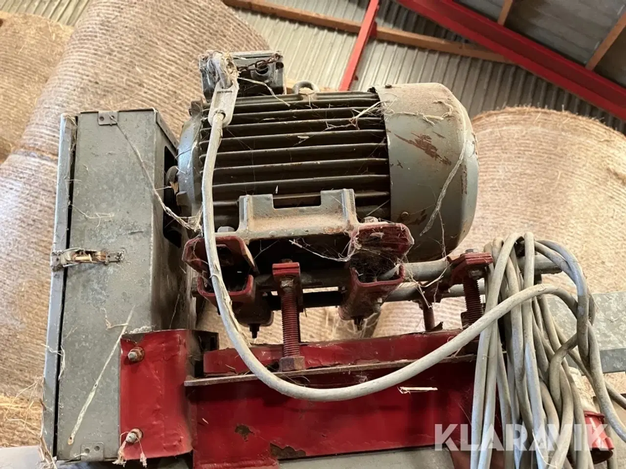 Billede 6 - Kornsnegl Hutchinson