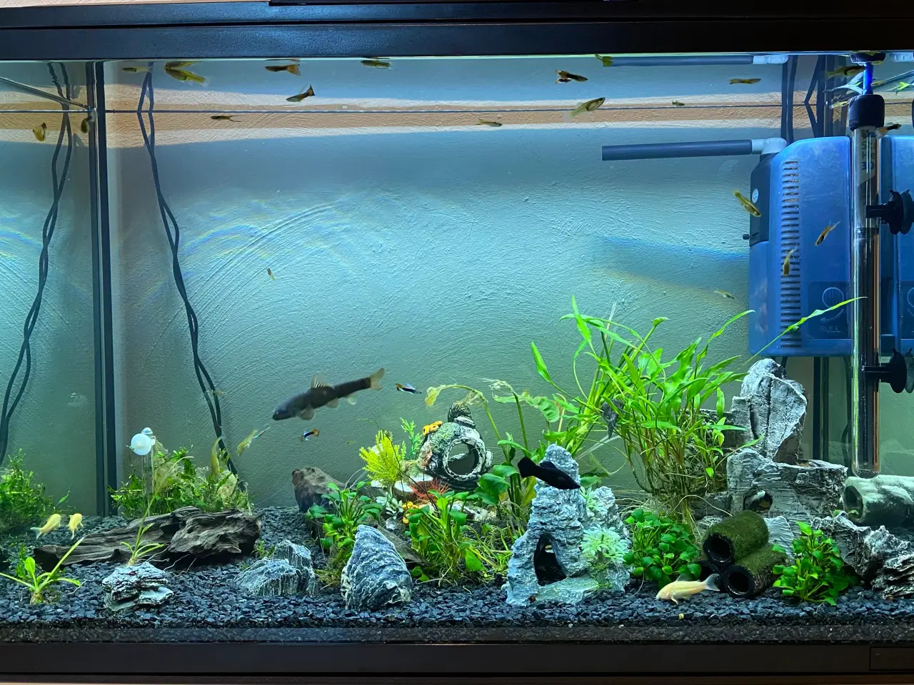 Billede 4 - Akvarie, 150 liter