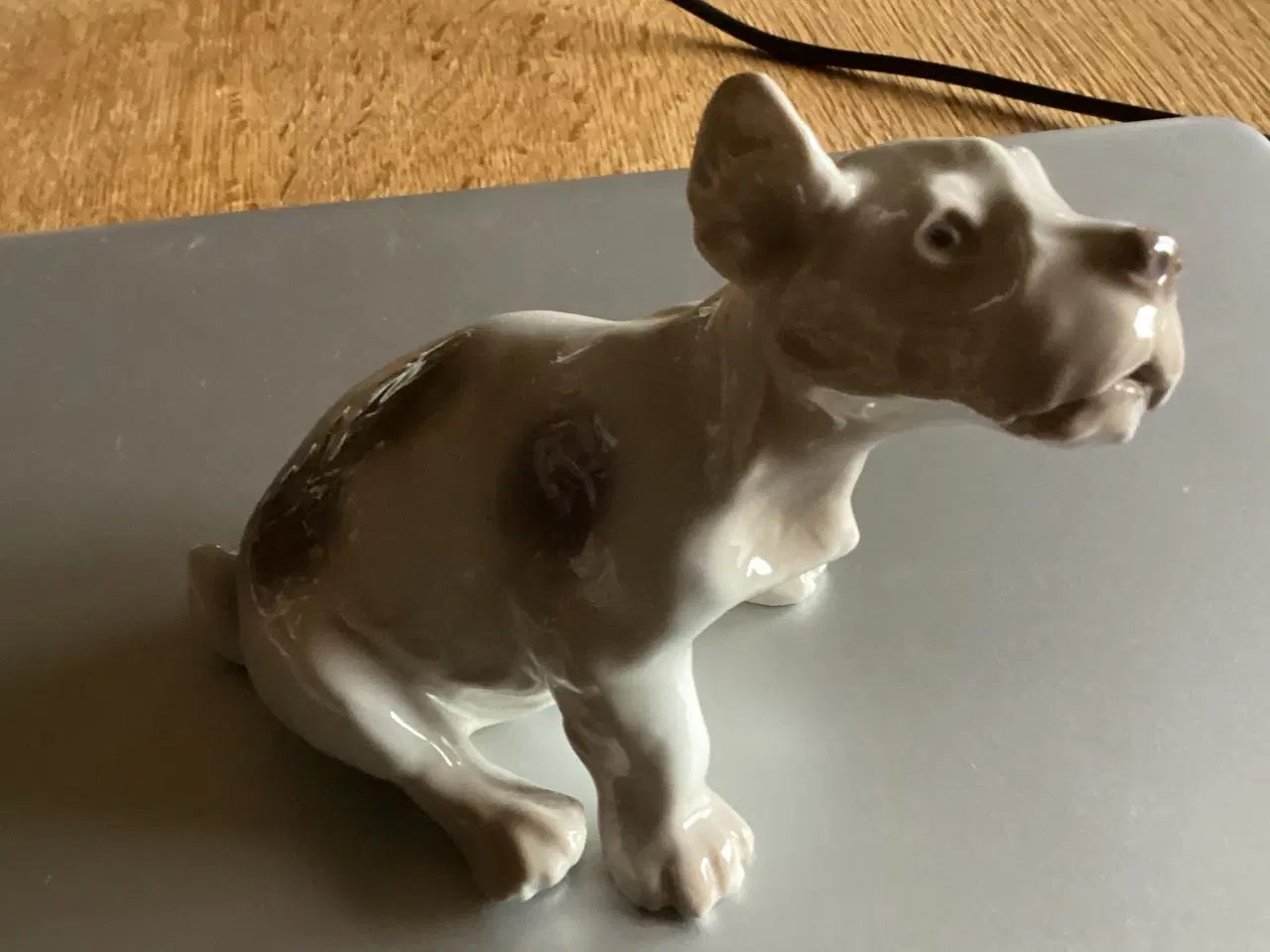 Billede 6 - BG Sealyham Hundehvalp