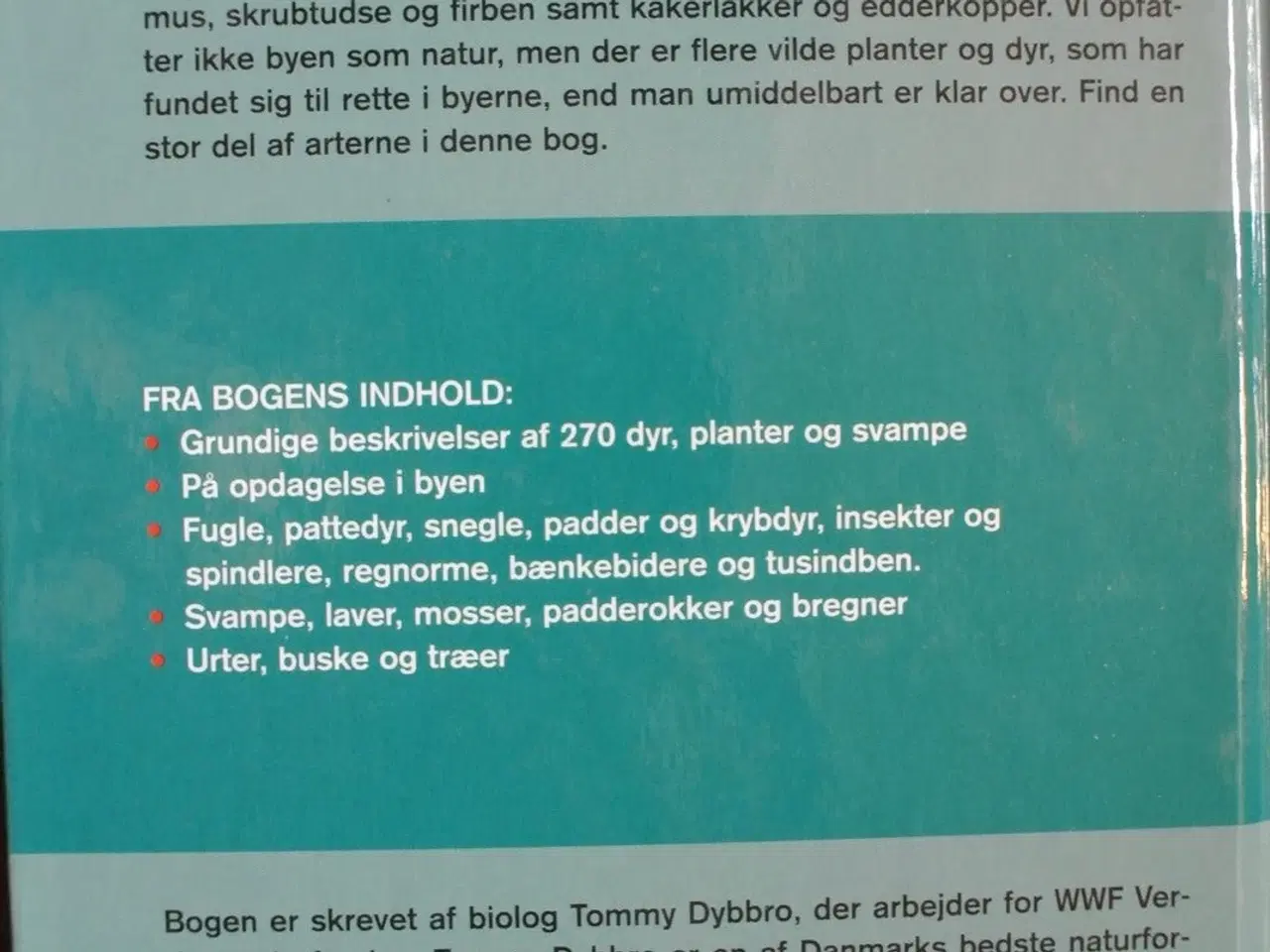 Billede 3 - byens dyr og planter, Af tommy dybbro, emne: natur