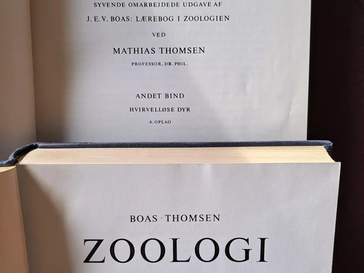 Billede 4 - Boas & Thomsen: Zoologi, vol. 1, 2 og 3