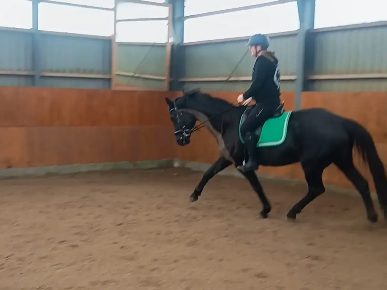 Billede 3 - Smuk Dv hoppe 