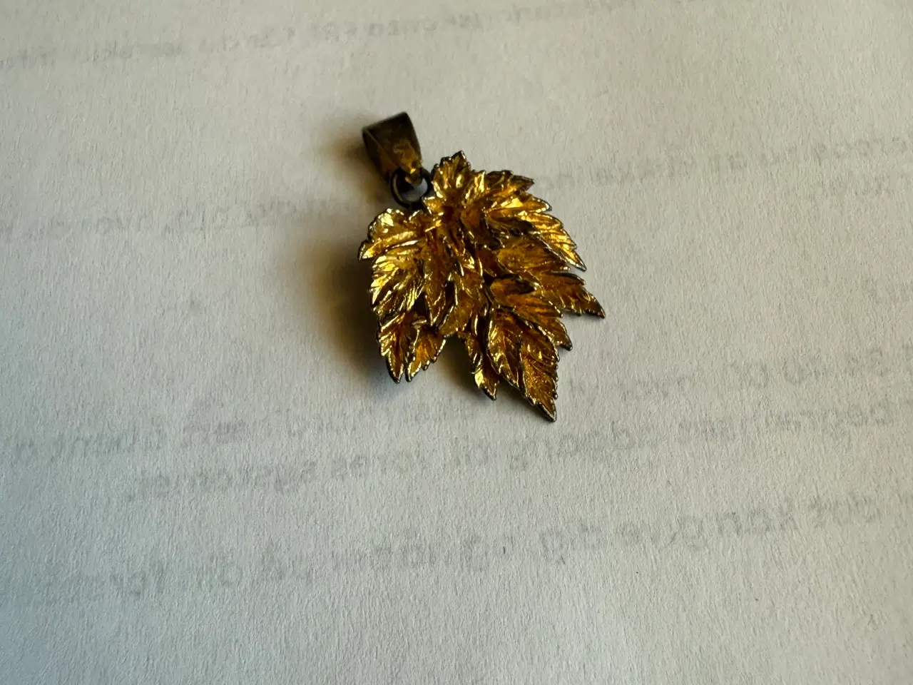 Billede 2 - Flora Danica 