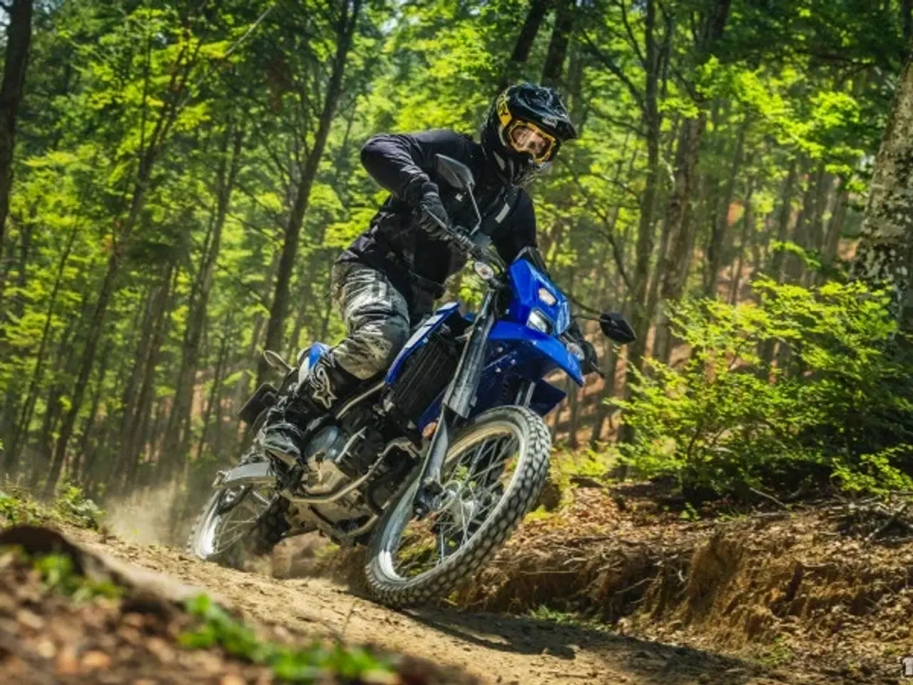 Billede 13 - Yamaha WR 125 R