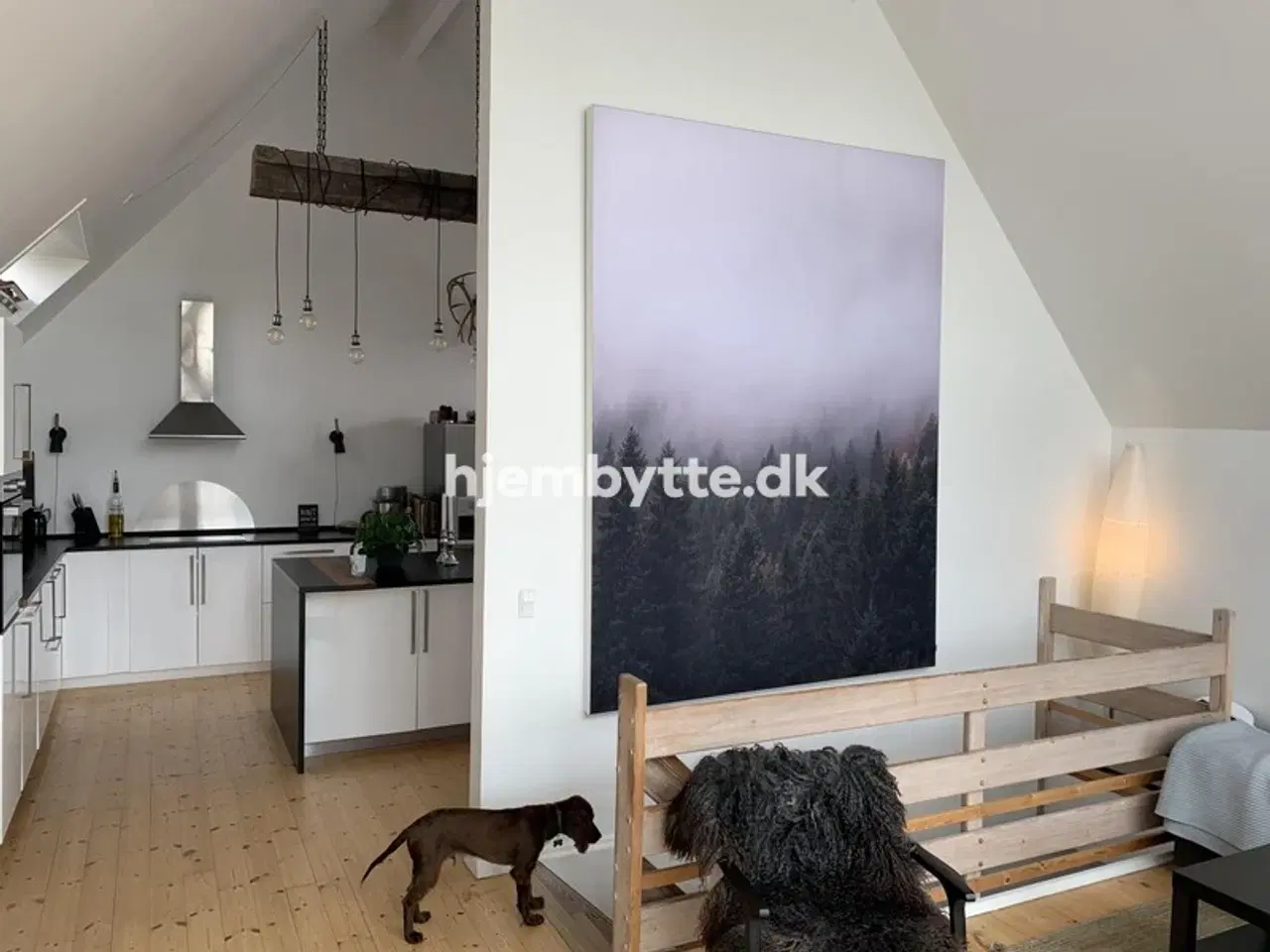Billede 9 - Hjembytte - SkydebaneAlle