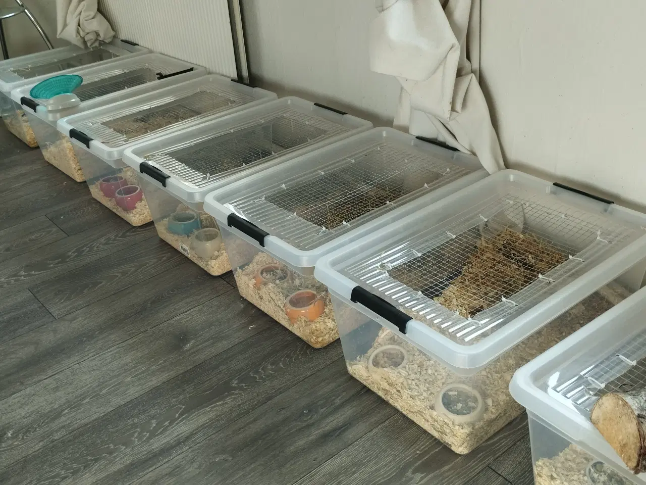 Billede 2 - 10 plast bure