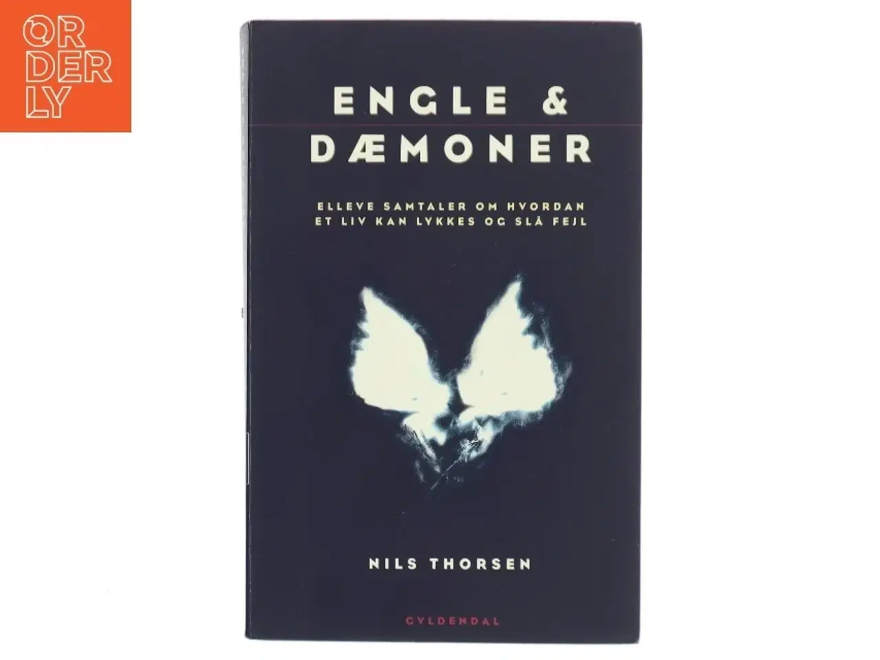 Billede 1 - Engle & dæmoner : elleve samtaler om hvordan et liv kan lykkes og slå fejl af Nils Thorsen (Bog)