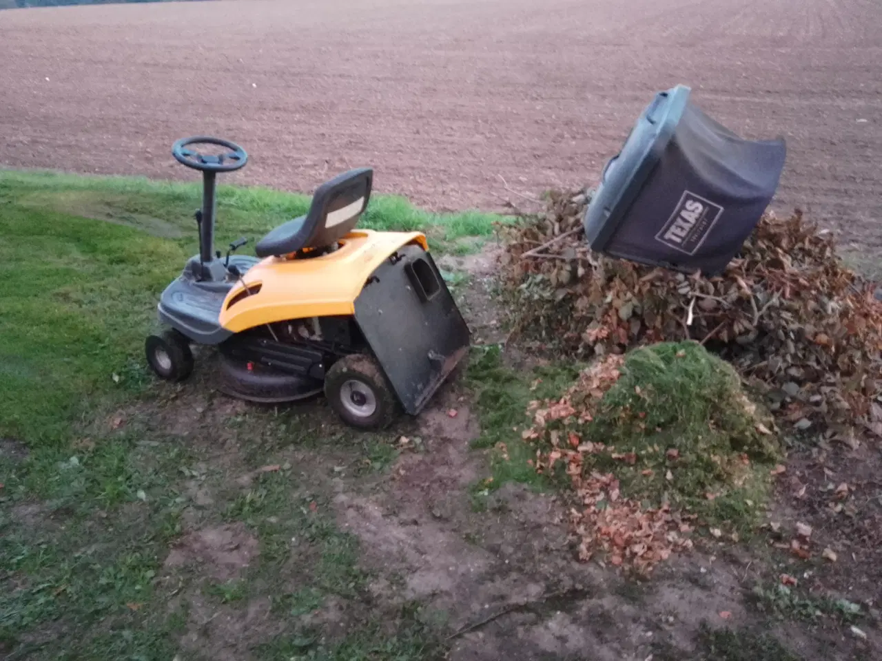 Billede 15 - Texas Rider Havetraktor med opsamler