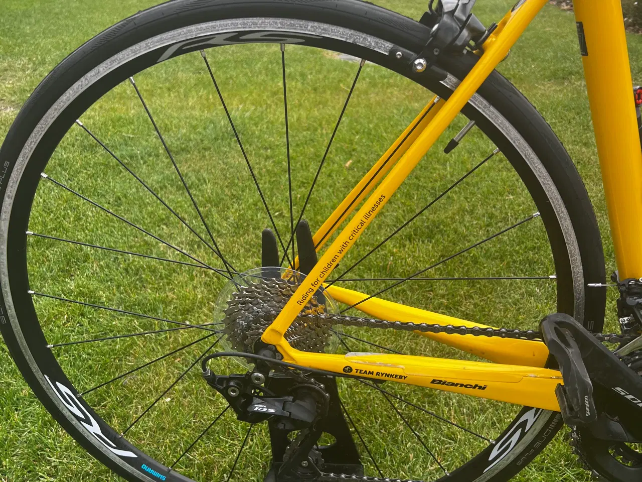 Billede 3 - Bianchi Carbon racer