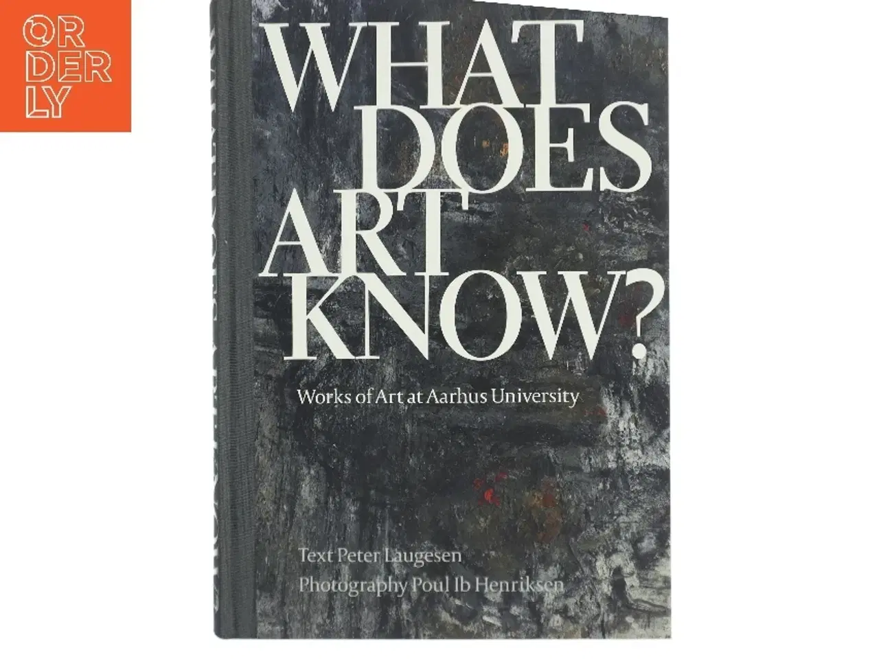 Billede 1 - What Does Art Know? af Peter Laugesen (Bog)