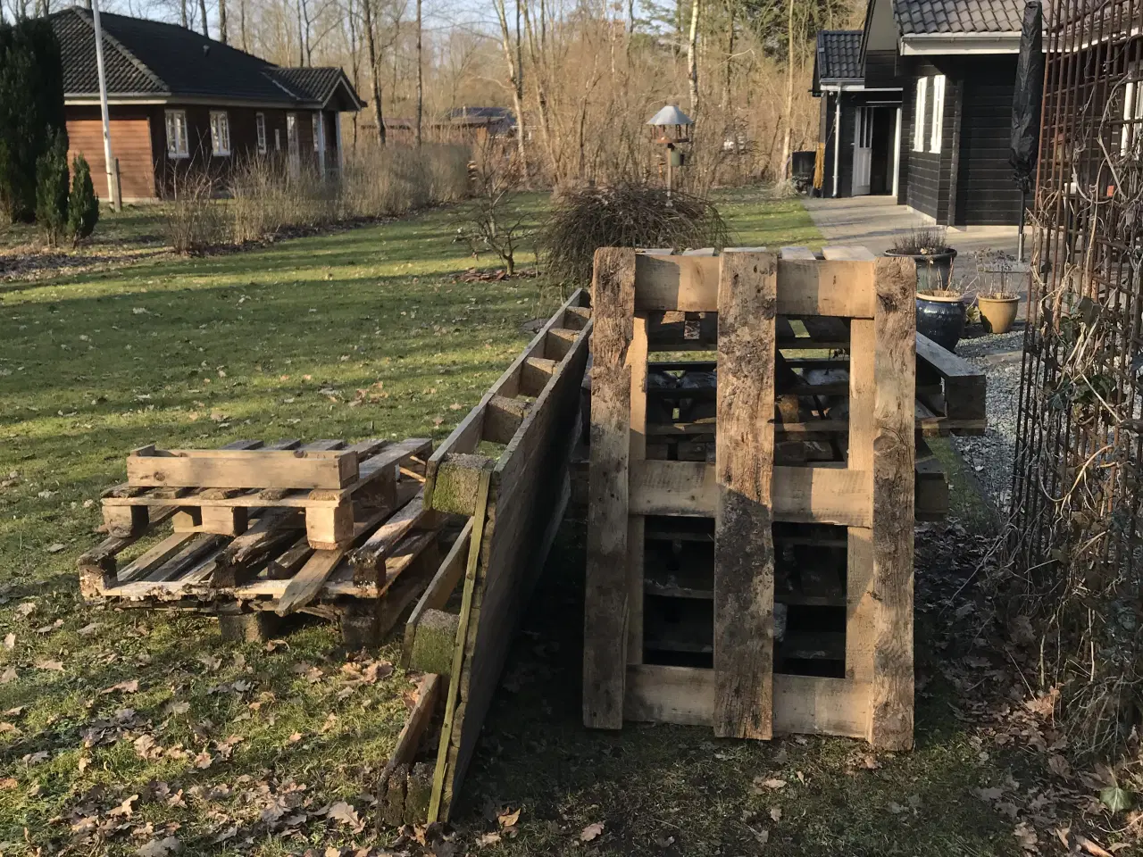 Billede 2 - Div. Paller bortgives