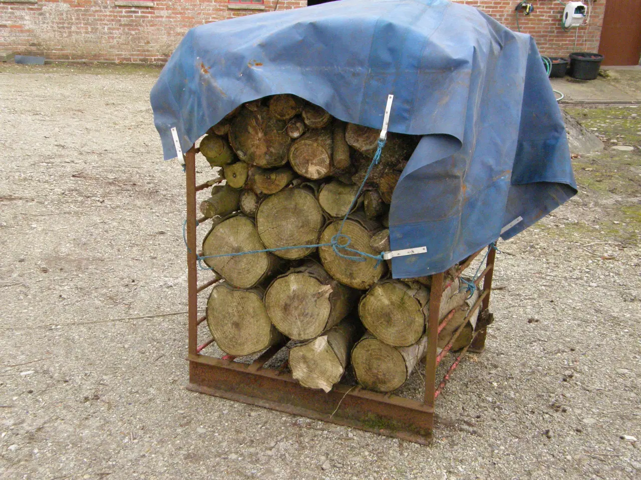 Billede 2 - Løvtræ