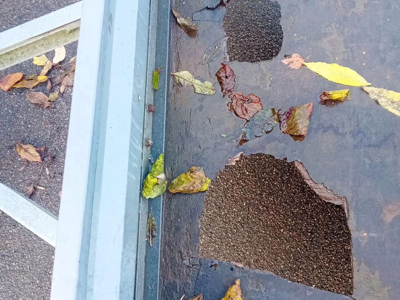 Billede 5 - Trailer Neptun