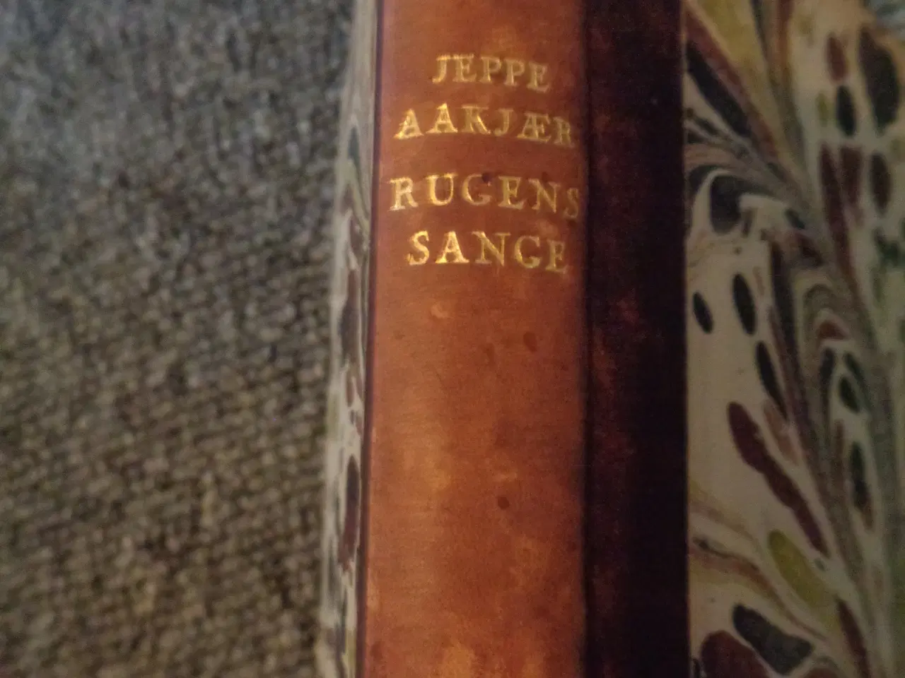 Billede 2 - Rugens Sange