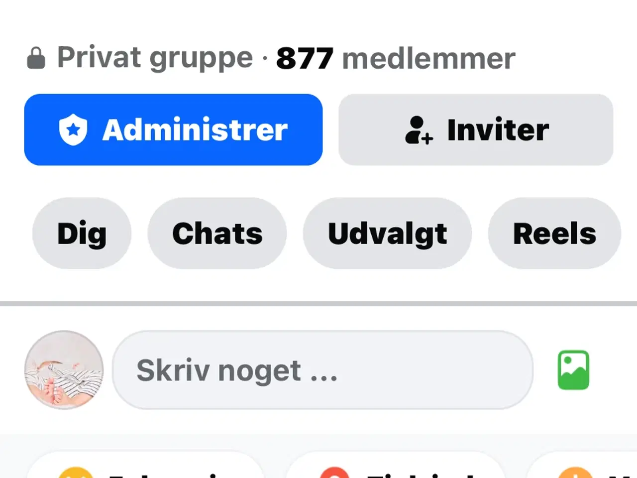 Billede 4 - Knabstrupper 