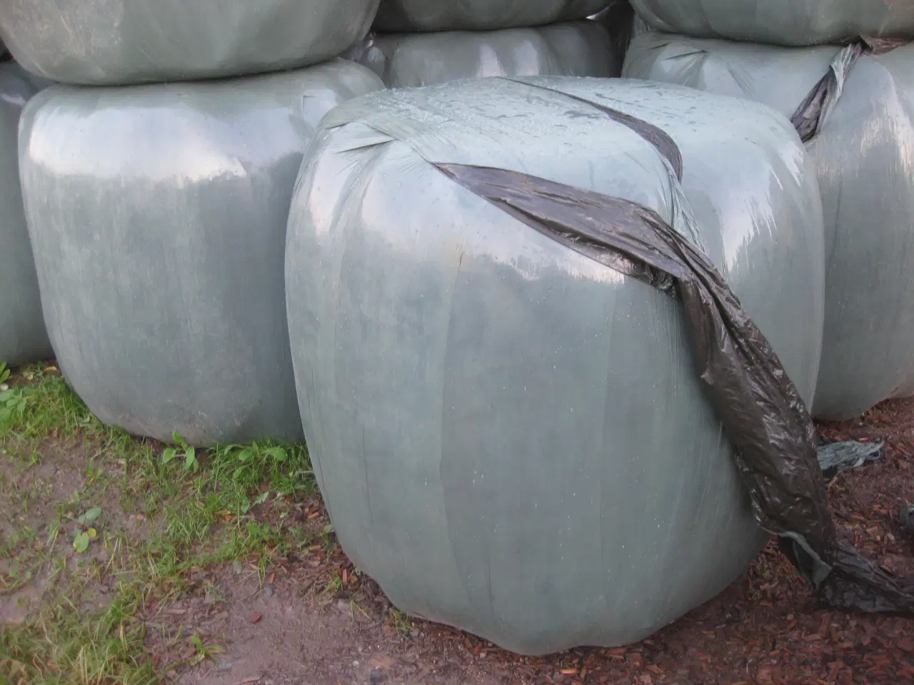 Billede 2 - tørt heste wrap