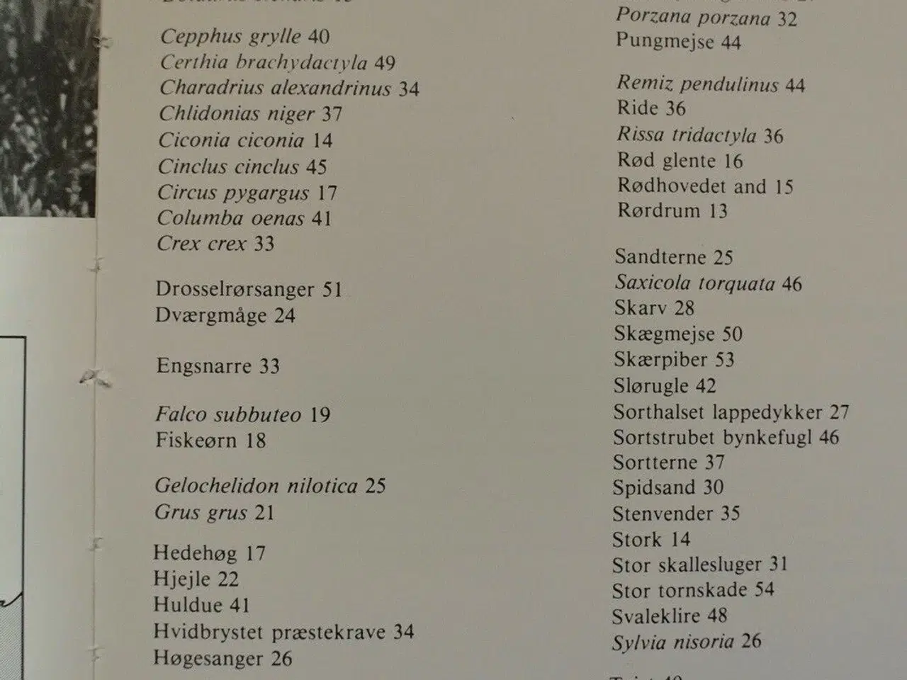Billede 3 - truede danske fugle. rød liste, Af tommy dybbro, e