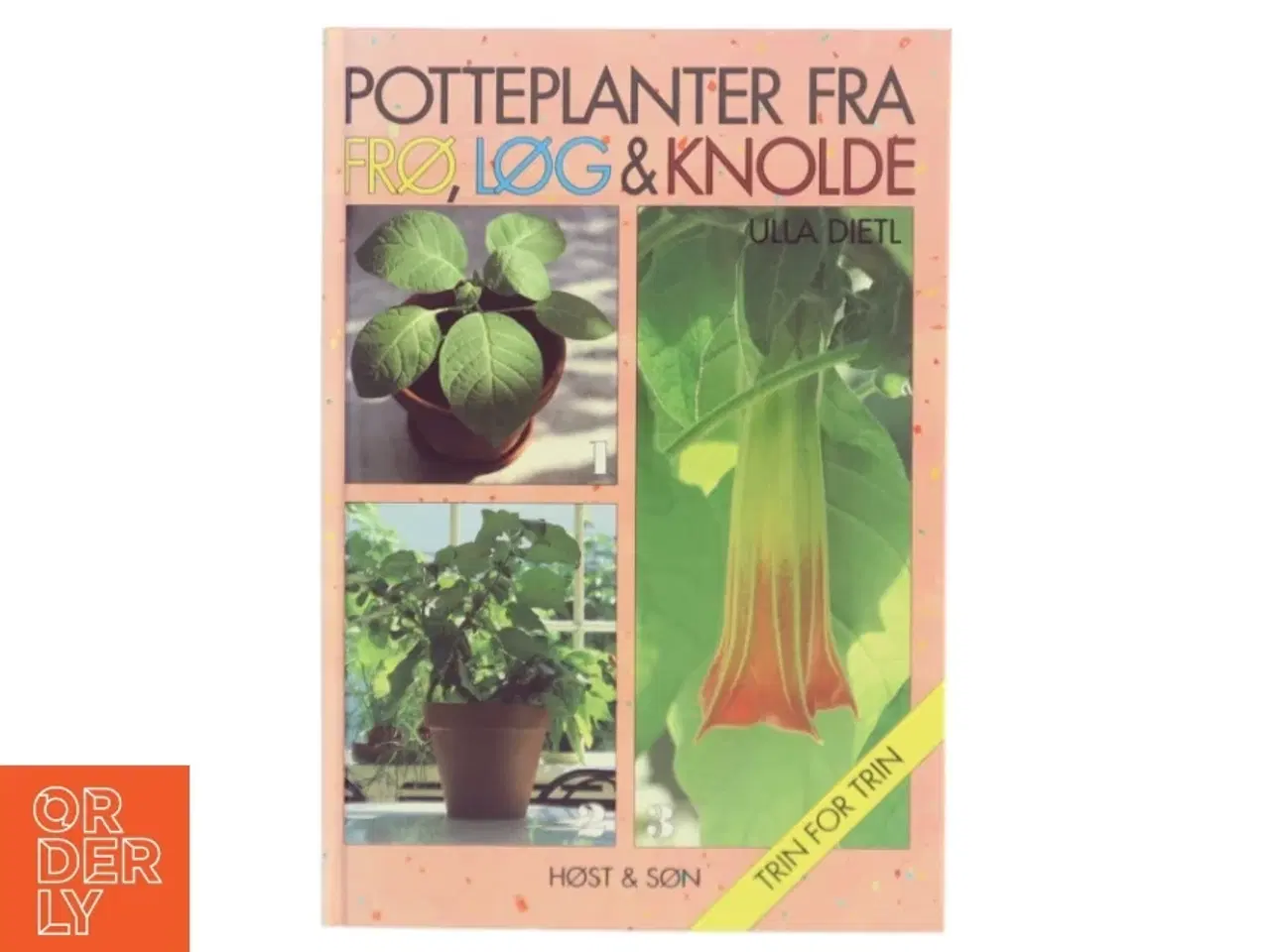 Billede 1 - Potteplanter fra frø, løg & knolde af Ulla Dietl (Bog)