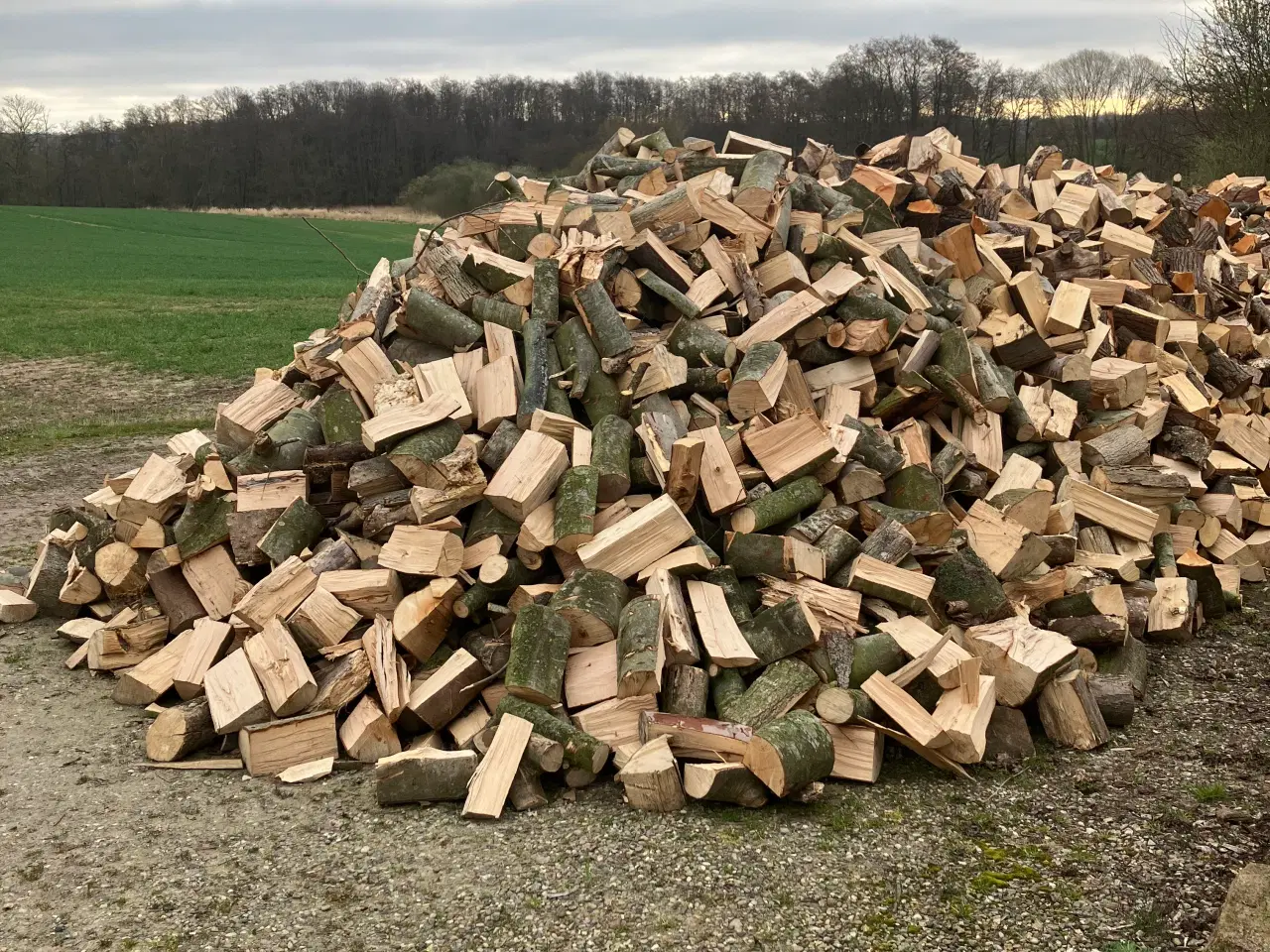 Billede 1 - Brænde Blandet løvtræ, bøg-ask-elm