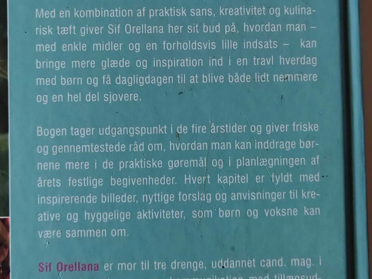 Billede 3 - Krudtugler & kanelsnegle