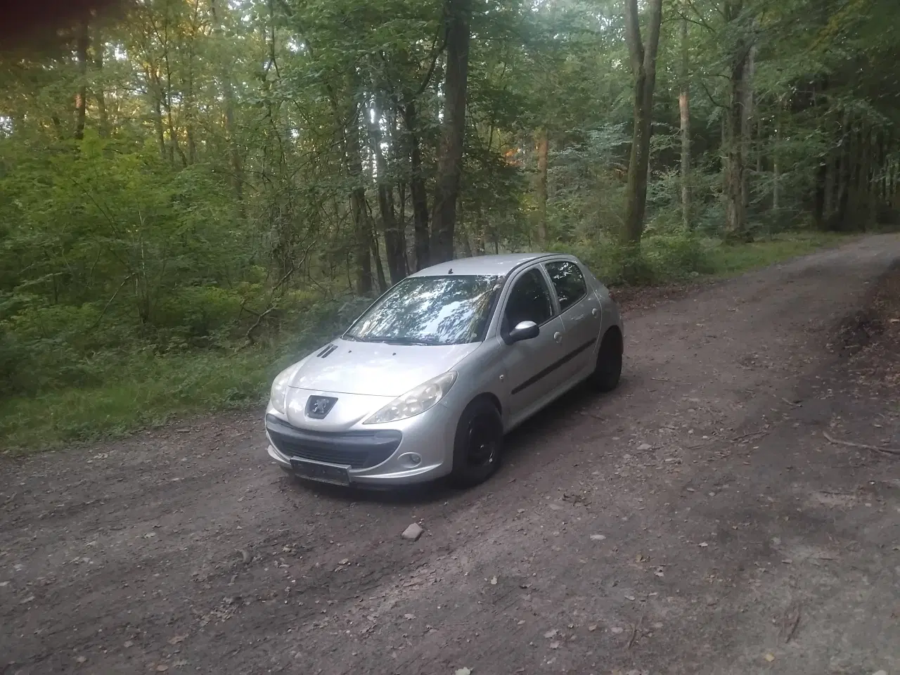 Billede 1 -  peugeot 206+ med partikelfilter 