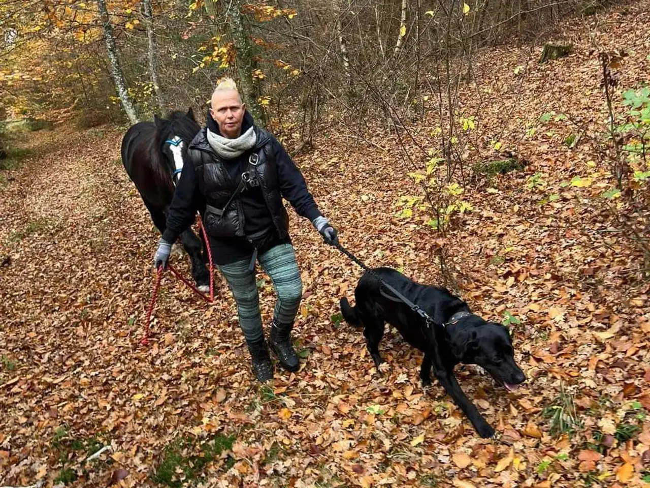 Billede 11 - Gypsy Vallak 