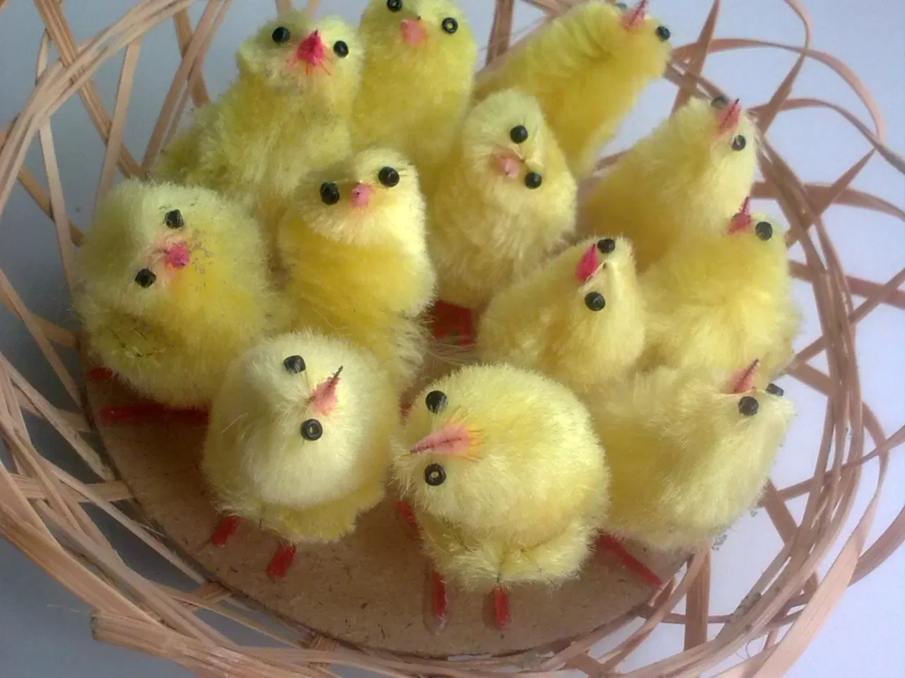 Billede 18 - Tulipan krukke & 12 uden kategori m ÆG nuancer