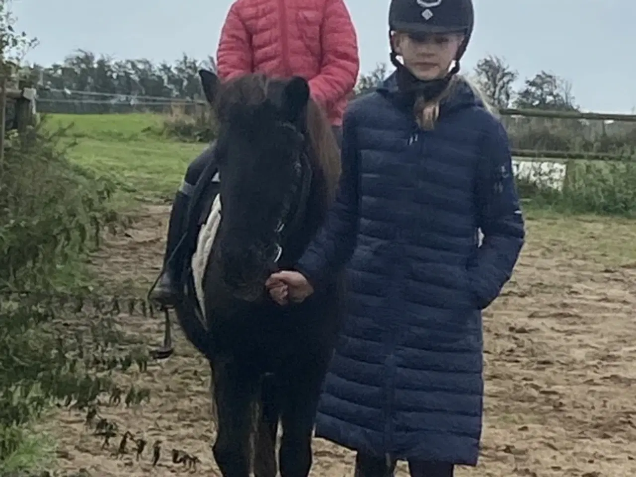 Billede 3 - Skøn turpony søger nyt hjem