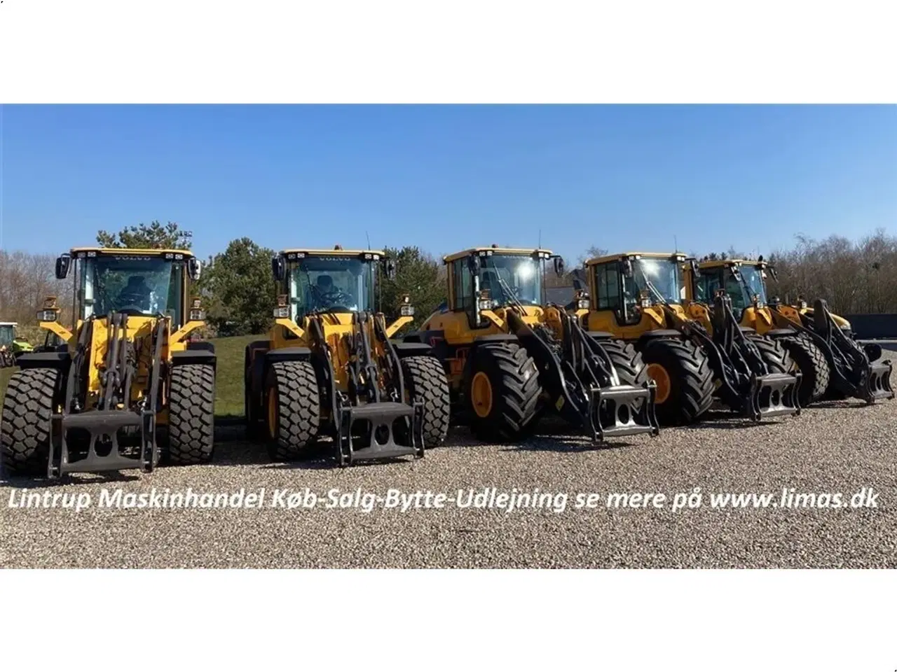 Billede 7 - Volvo Hyundai & Volvo gede udlejes.