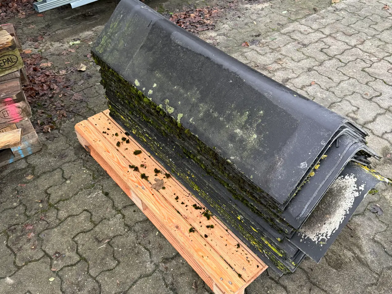 Billede 1 - Eternitrygninger 