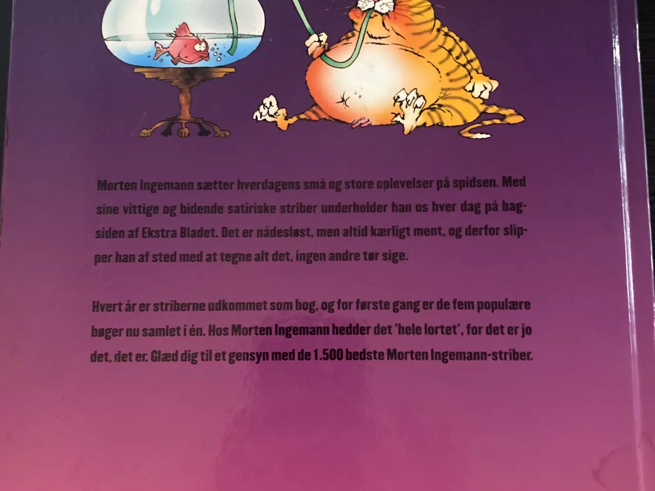 Billede 2 - Og det var Danmark af Morten Ingemann