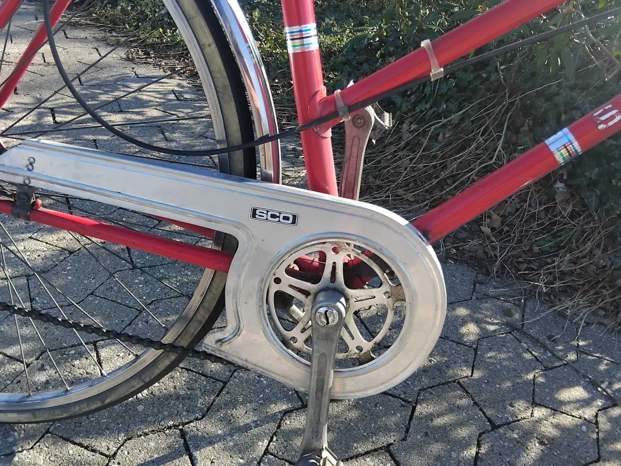 Billede 8 - Sco verdensmester