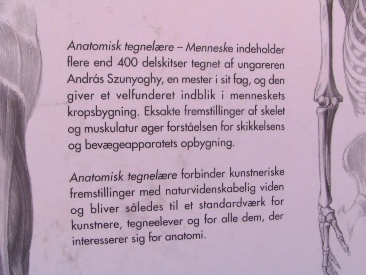 Billede 8 - Anatomisk tegnelære Menneske