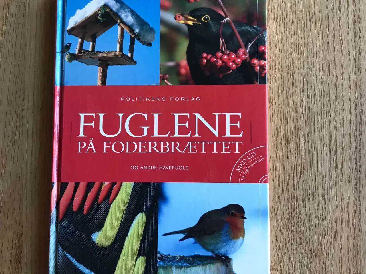 Billede 1 - Fuglene på foderbrættet og andre havefugle