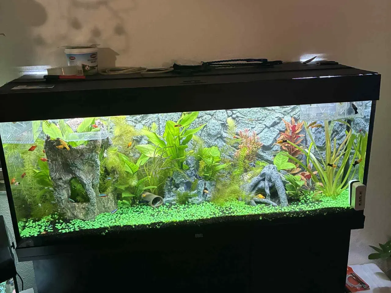 Billede 1 - 250 l Juwel akvarie + underskab 