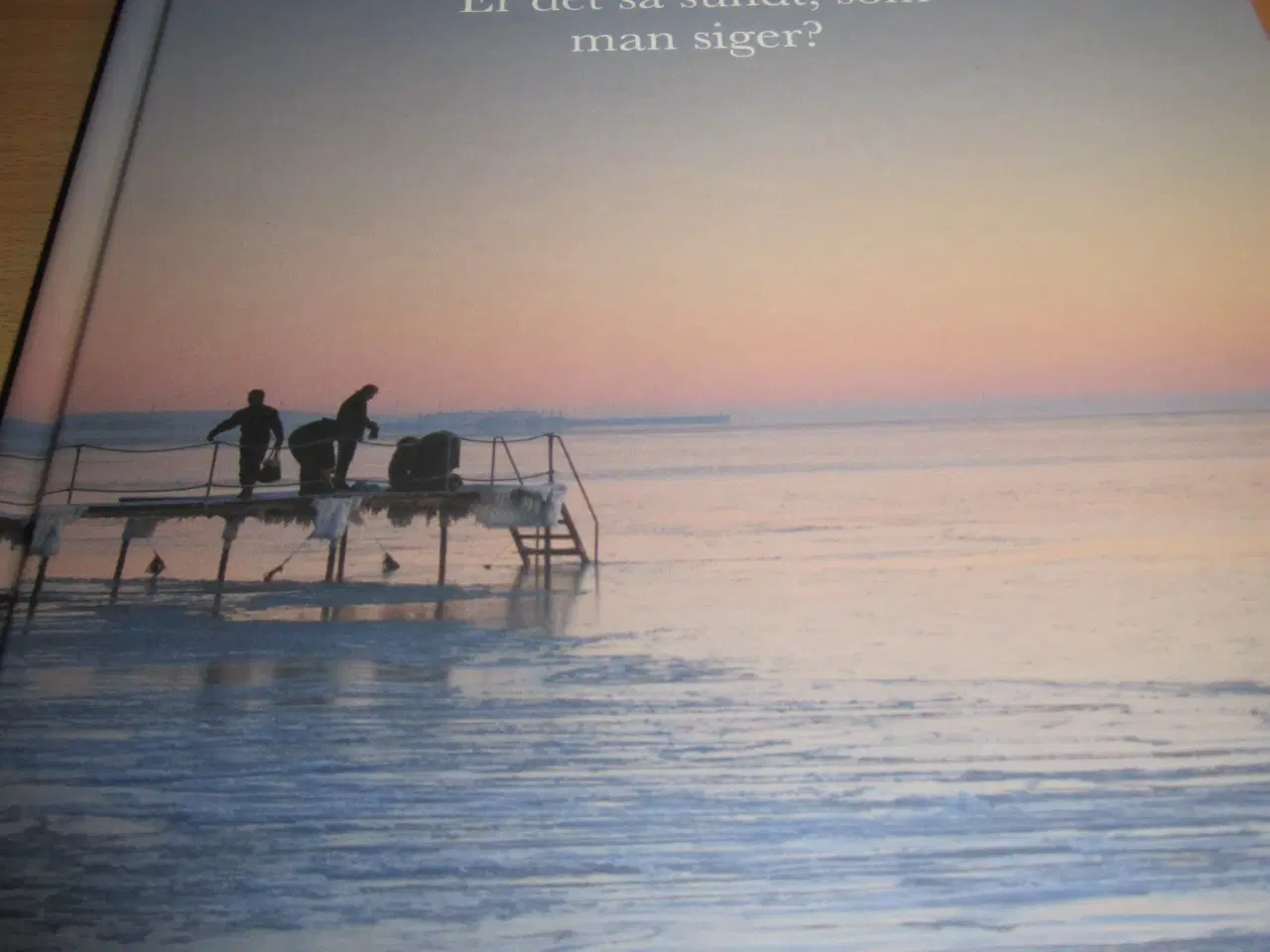 Billede 1 - VINTERBADNING. BYD. Jette Skrædderdal.