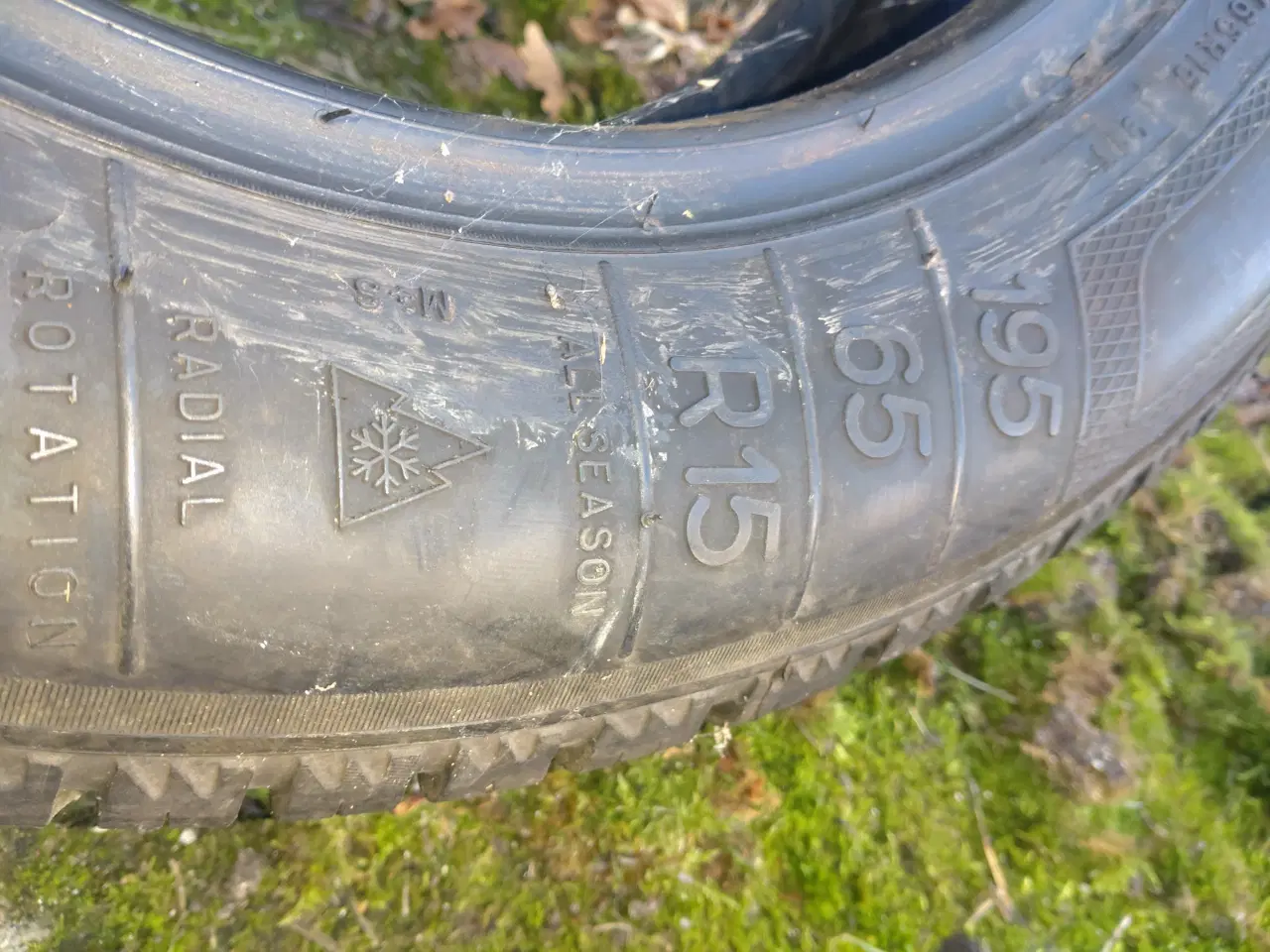 Billede 4 - Helårsdæk