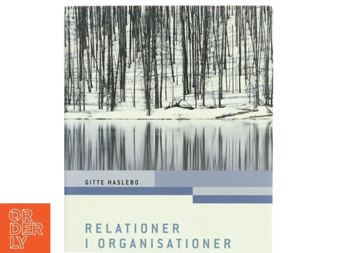 Billede 1 - Relationer i organisationer : en verden til forskel af Gitte Haslebo (Bog)